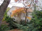 Woodside_011.jpg (223560 bytes)
